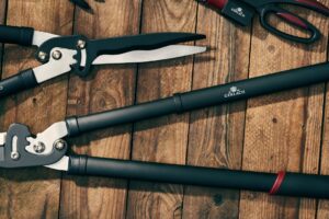 Ogródek wegan? Sprawdź jakie akcesoria ogrodowe kupić! Ogródek wegan? Sprawdź jakie akcesoria ogrodowe kupić!