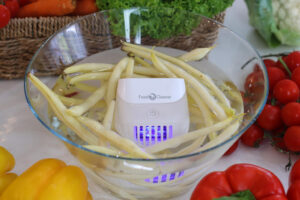 Meal prep dla zapracowanych – jak przygotować warzywa na cały tydzień, by zachowały świeżość i chrupkość? Meal prep dla zapracowanych – jak przygotować warzywa na cały tydzień, by zachowały świeżość i chrupkość?